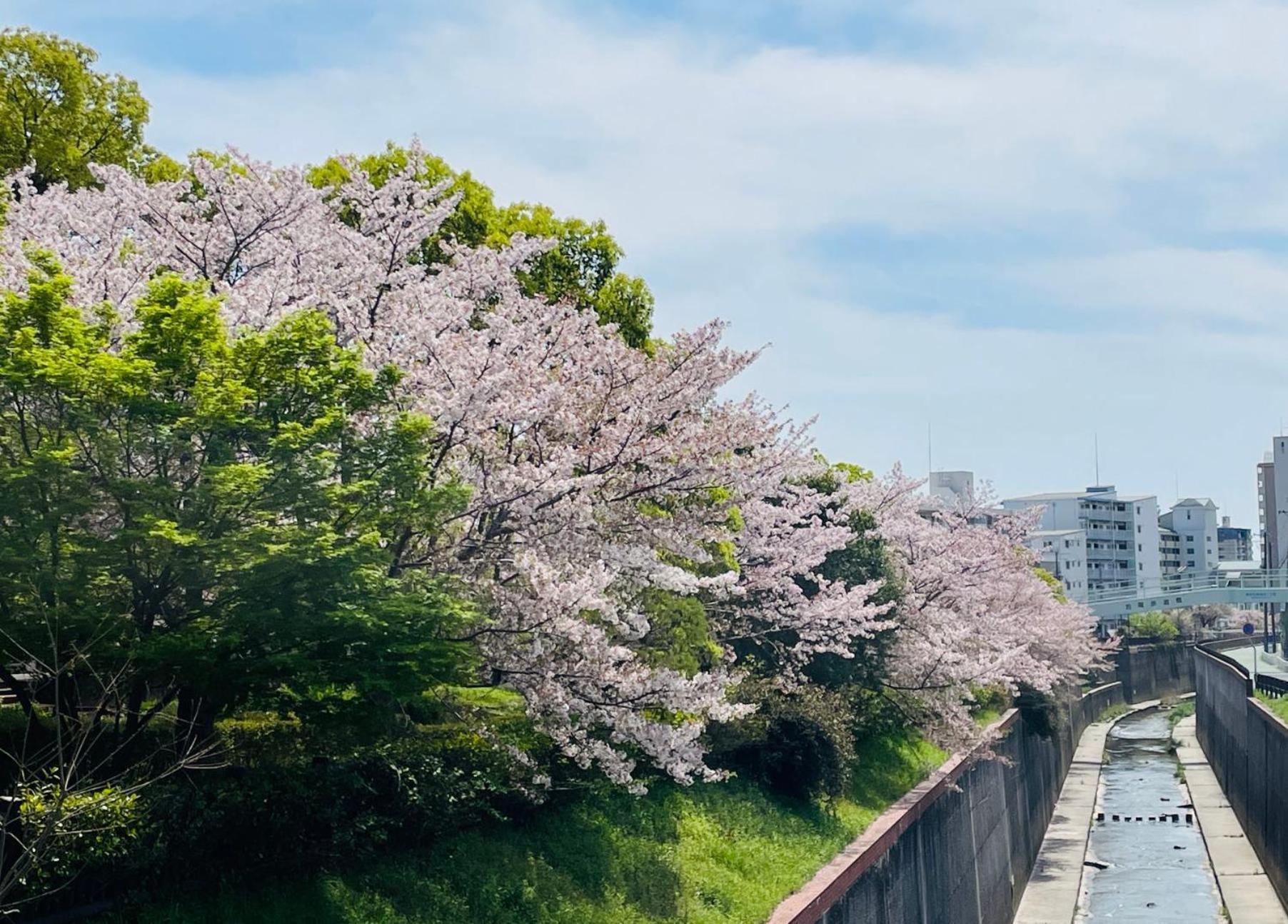 Kobe Coffee Hostel ภายนอก รูปภาพ