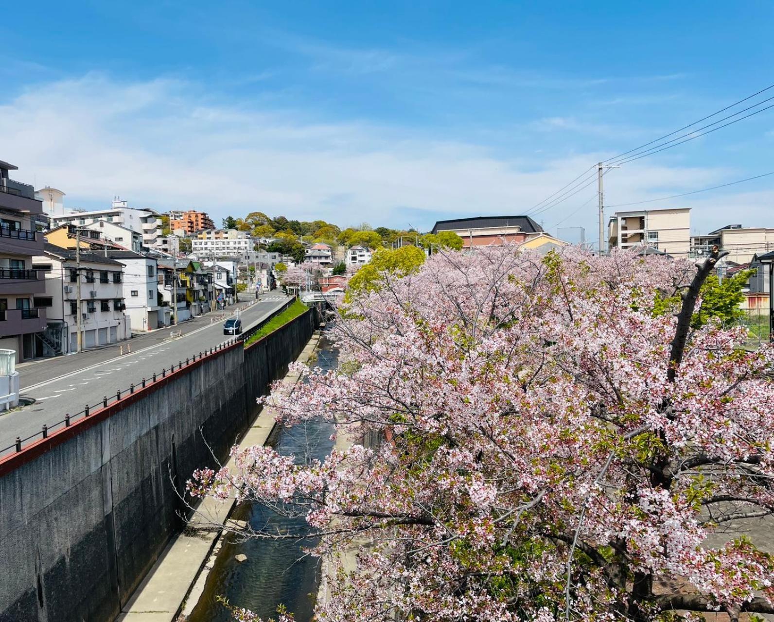 Kobe Coffee Hostel ภายนอก รูปภาพ