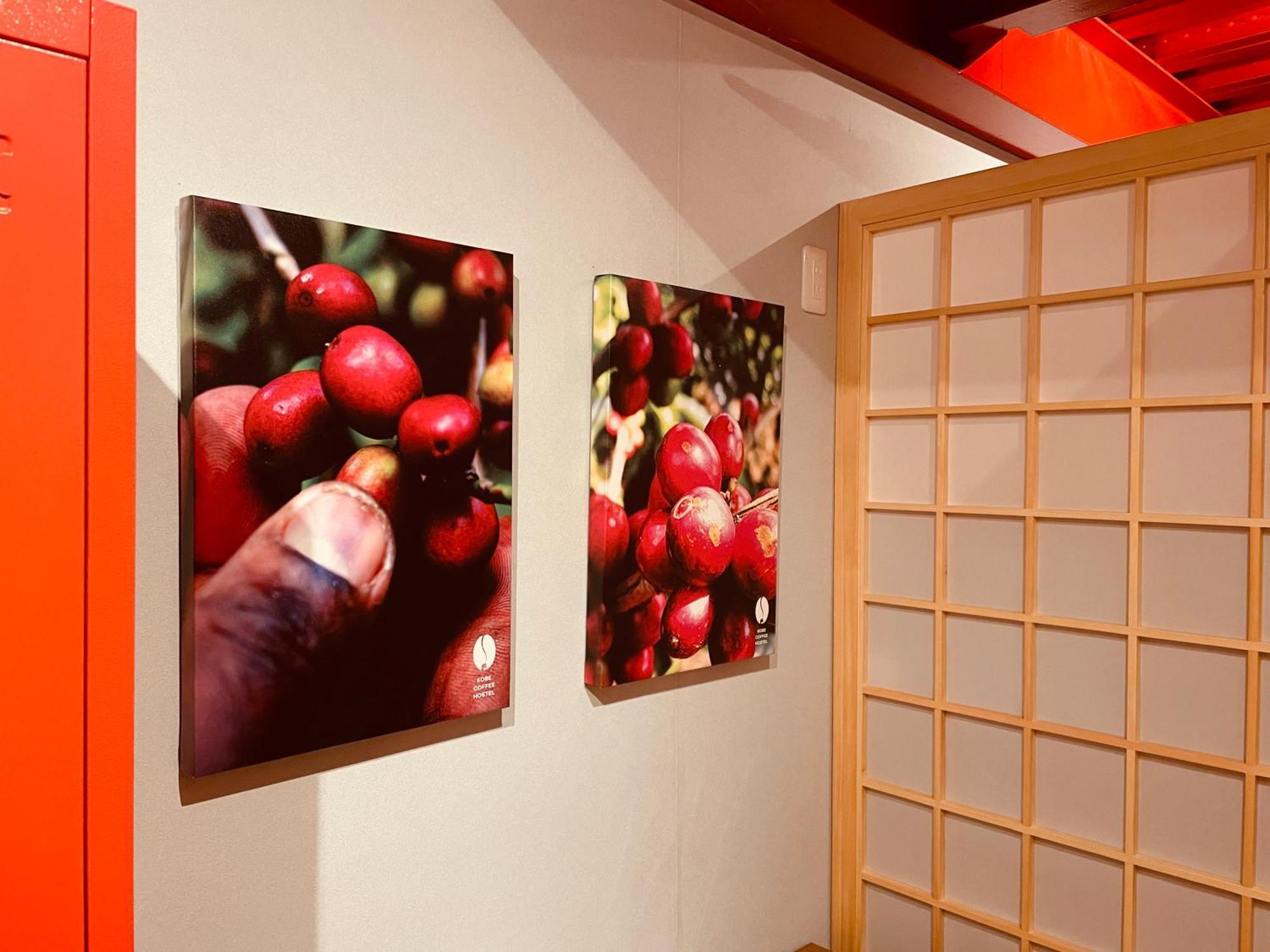 Kobe Coffee Hostel ภายนอก รูปภาพ